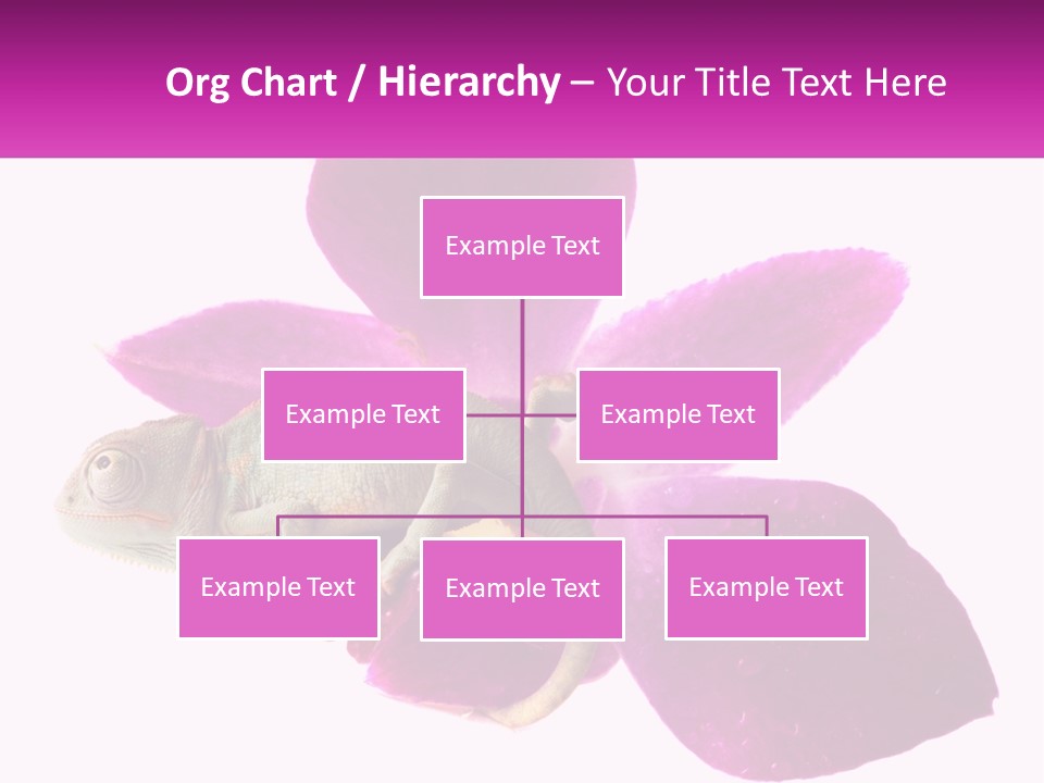 Summer Single Raindrop PowerPoint Template