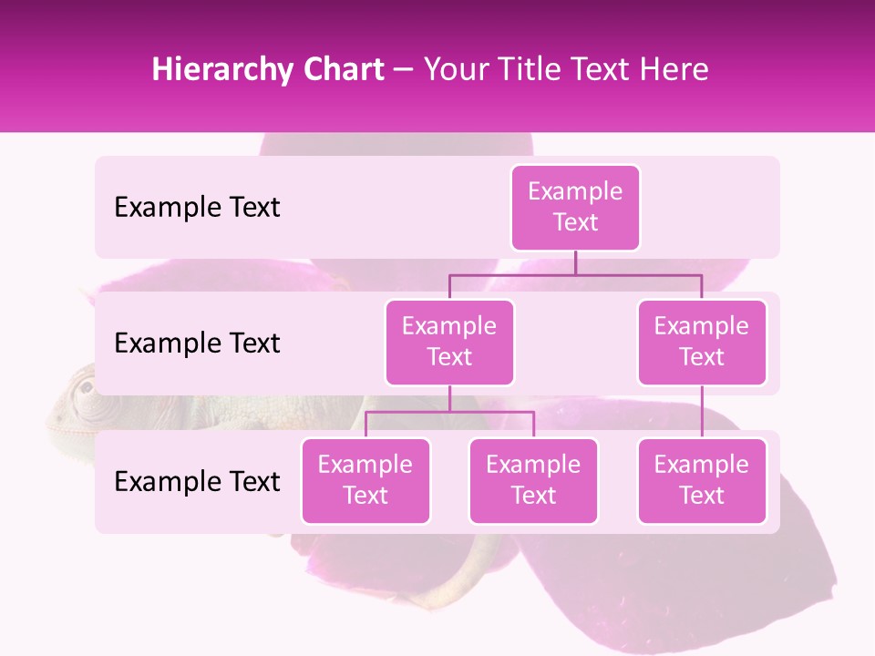 Summer Single Raindrop PowerPoint Template