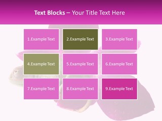 Summer Single Raindrop PowerPoint Template