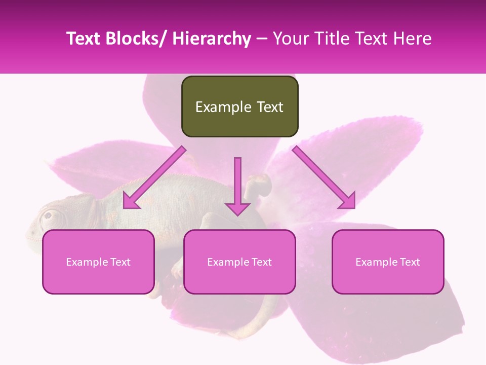 Summer Single Raindrop PowerPoint Template