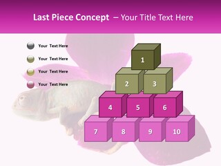 Summer Single Raindrop PowerPoint Template