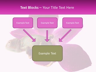 Summer Single Raindrop PowerPoint Template
