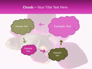 Summer Single Raindrop PowerPoint Template