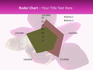 Summer Single Raindrop PowerPoint Template