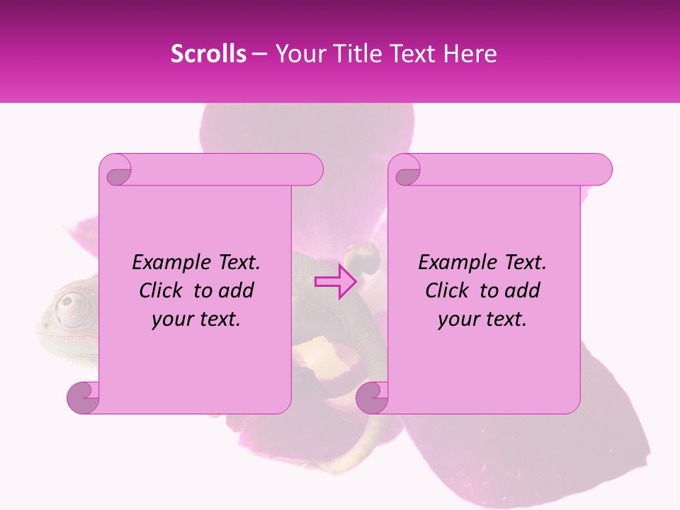 Summer Single Raindrop PowerPoint Template