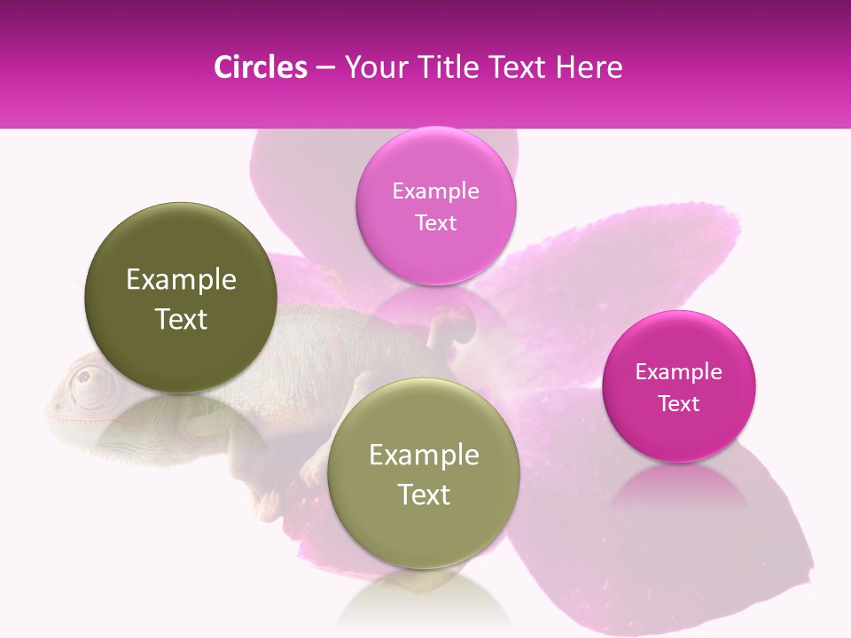 Summer Single Raindrop PowerPoint Template