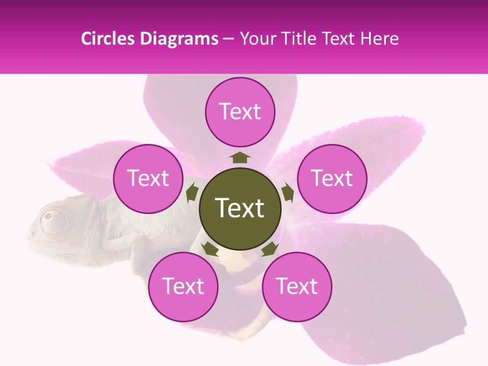 Summer Single Raindrop PowerPoint Template