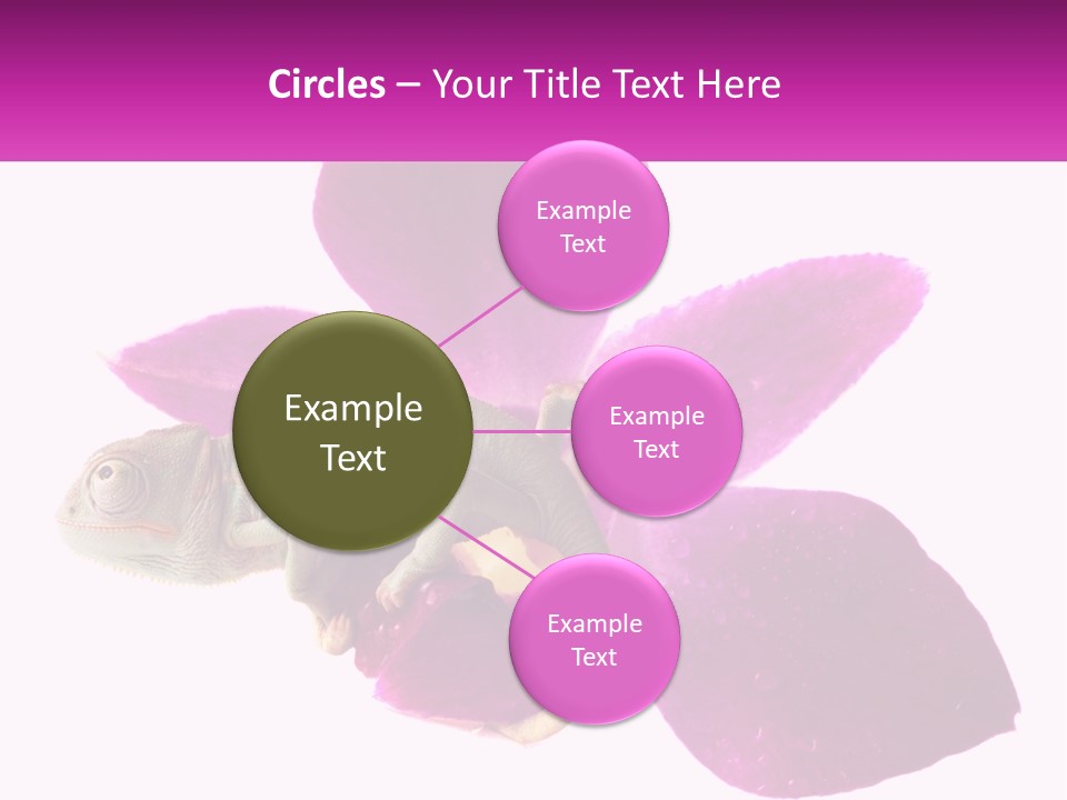 Summer Single Raindrop PowerPoint Template