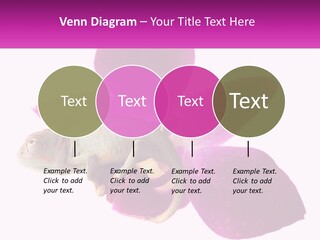 Summer Single Raindrop PowerPoint Template