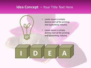 Summer Single Raindrop PowerPoint Template