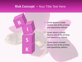 Summer Single Raindrop PowerPoint Template