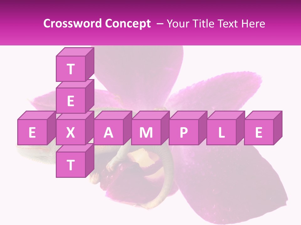 Summer Single Raindrop PowerPoint Template