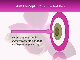 Summer Single Raindrop PowerPoint Template