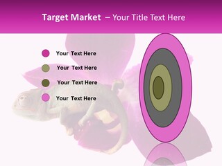 Summer Single Raindrop PowerPoint Template