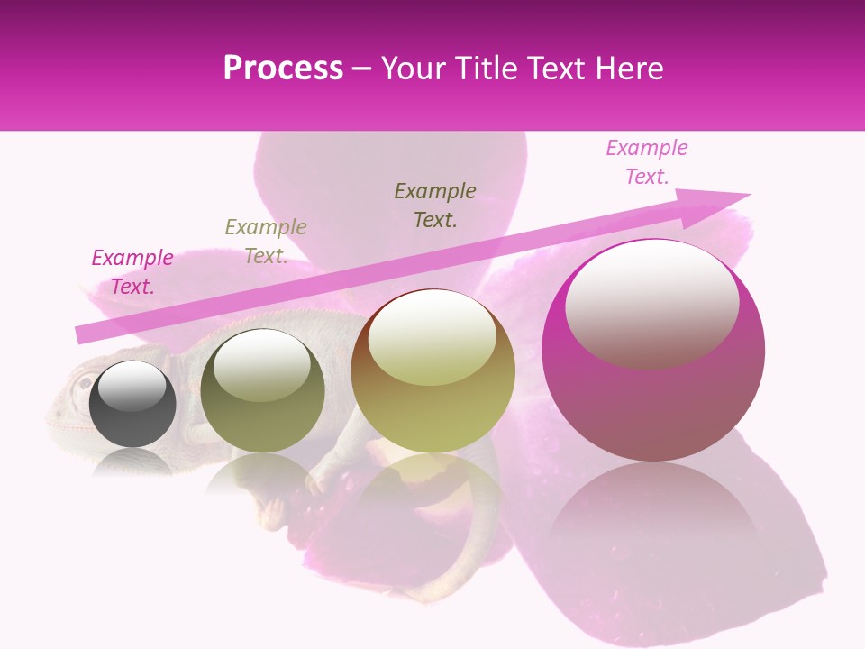 Summer Single Raindrop PowerPoint Template