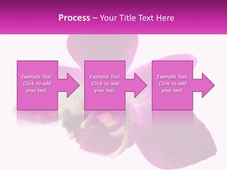 Summer Single Raindrop PowerPoint Template