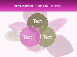 Summer Single Raindrop PowerPoint Template