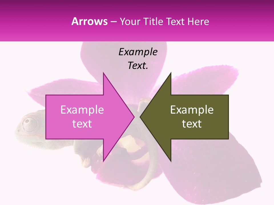 Summer Single Raindrop PowerPoint Template