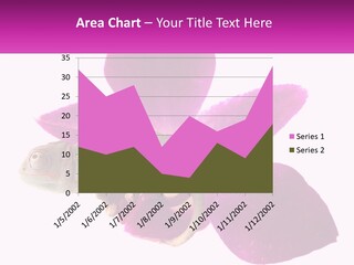 Summer Single Raindrop PowerPoint Template