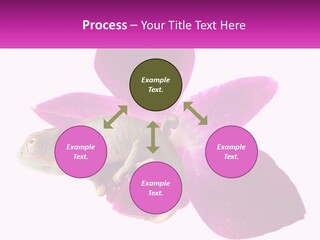 Summer Single Raindrop PowerPoint Template