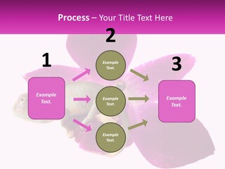 Summer Single Raindrop PowerPoint Template