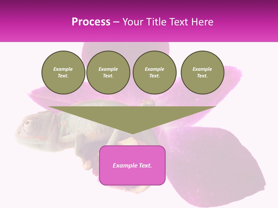 Summer Single Raindrop PowerPoint Template