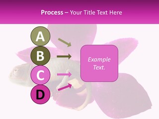 Summer Single Raindrop PowerPoint Template