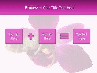 Summer Single Raindrop PowerPoint Template