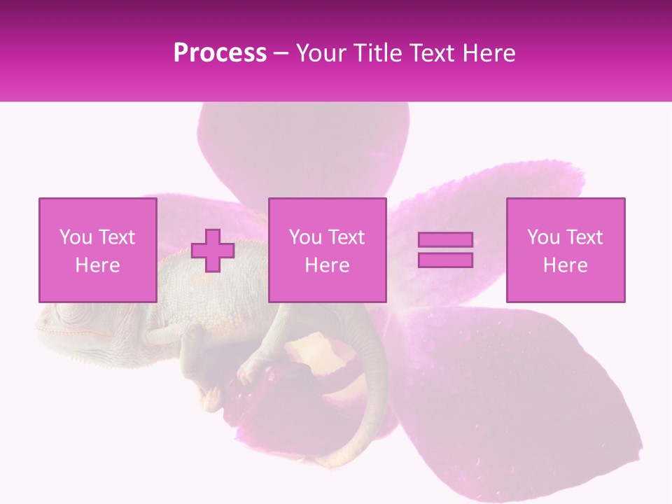 Summer Single Raindrop PowerPoint Template