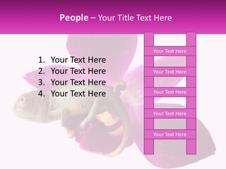 Summer Single Raindrop PowerPoint Template