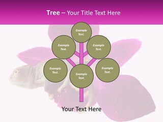 Summer Single Raindrop PowerPoint Template