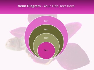 Summer Single Raindrop PowerPoint Template