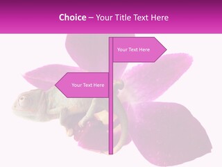 Summer Single Raindrop PowerPoint Template