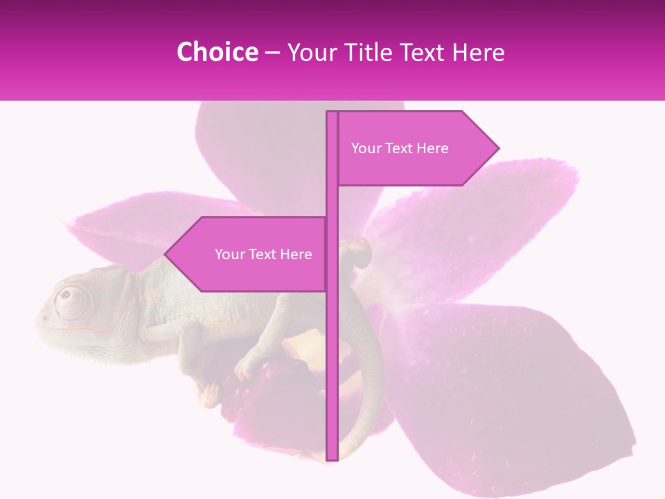 Summer Single Raindrop PowerPoint Template