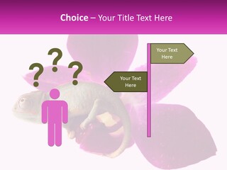 Summer Single Raindrop PowerPoint Template