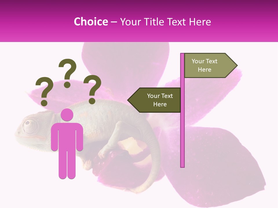 Summer Single Raindrop PowerPoint Template