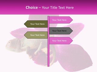 Summer Single Raindrop PowerPoint Template