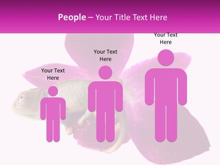 Summer Single Raindrop PowerPoint Template