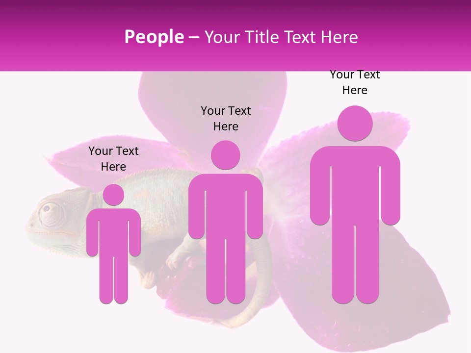 Summer Single Raindrop PowerPoint Template