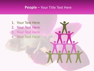 Summer Single Raindrop PowerPoint Template