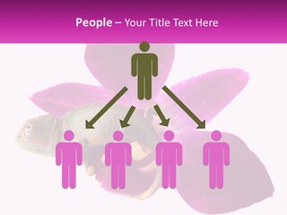 Summer Single Raindrop PowerPoint Template