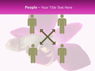 Summer Single Raindrop PowerPoint Template