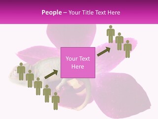 Summer Single Raindrop PowerPoint Template