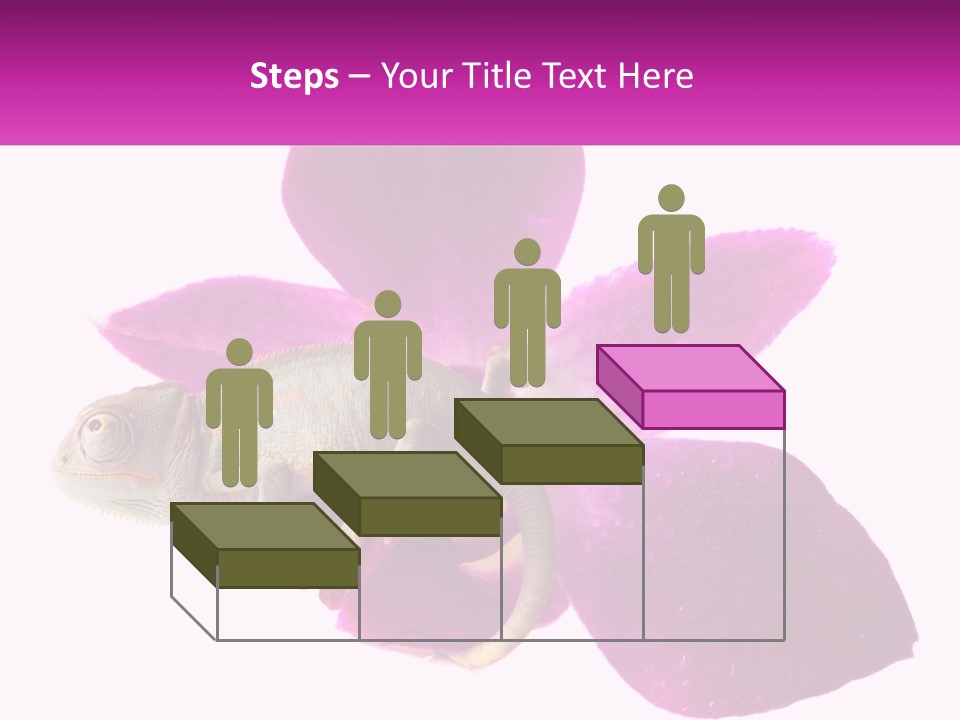 Summer Single Raindrop PowerPoint Template