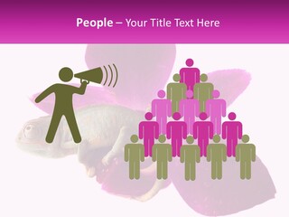 Summer Single Raindrop PowerPoint Template