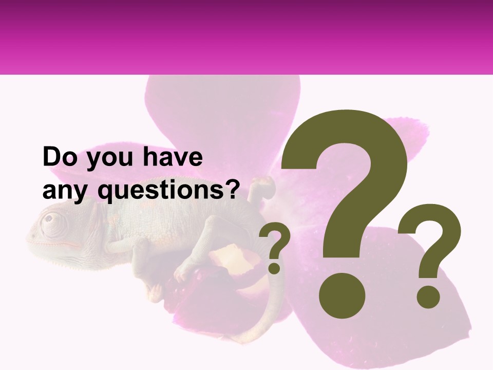 Summer Single Raindrop PowerPoint Template