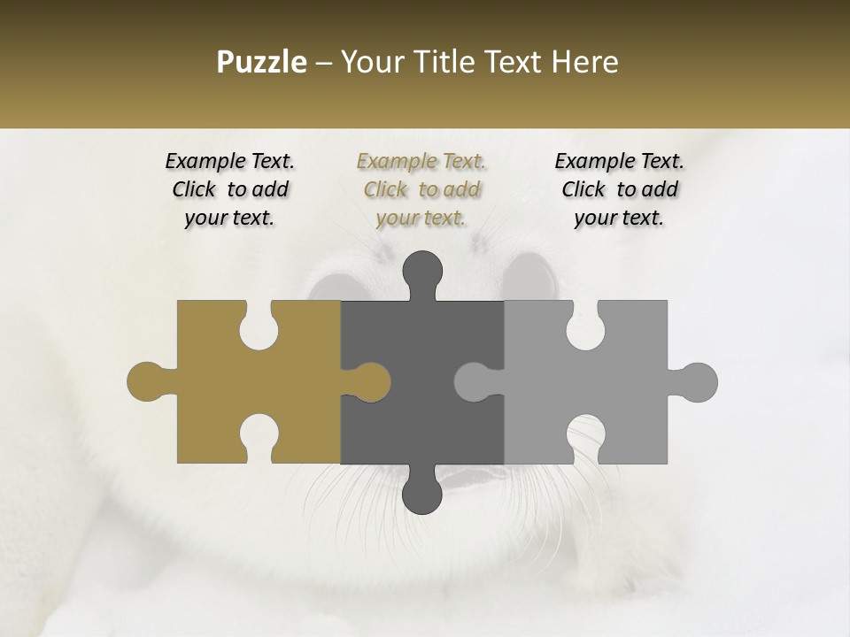 Black Ocean Baby PowerPoint Template