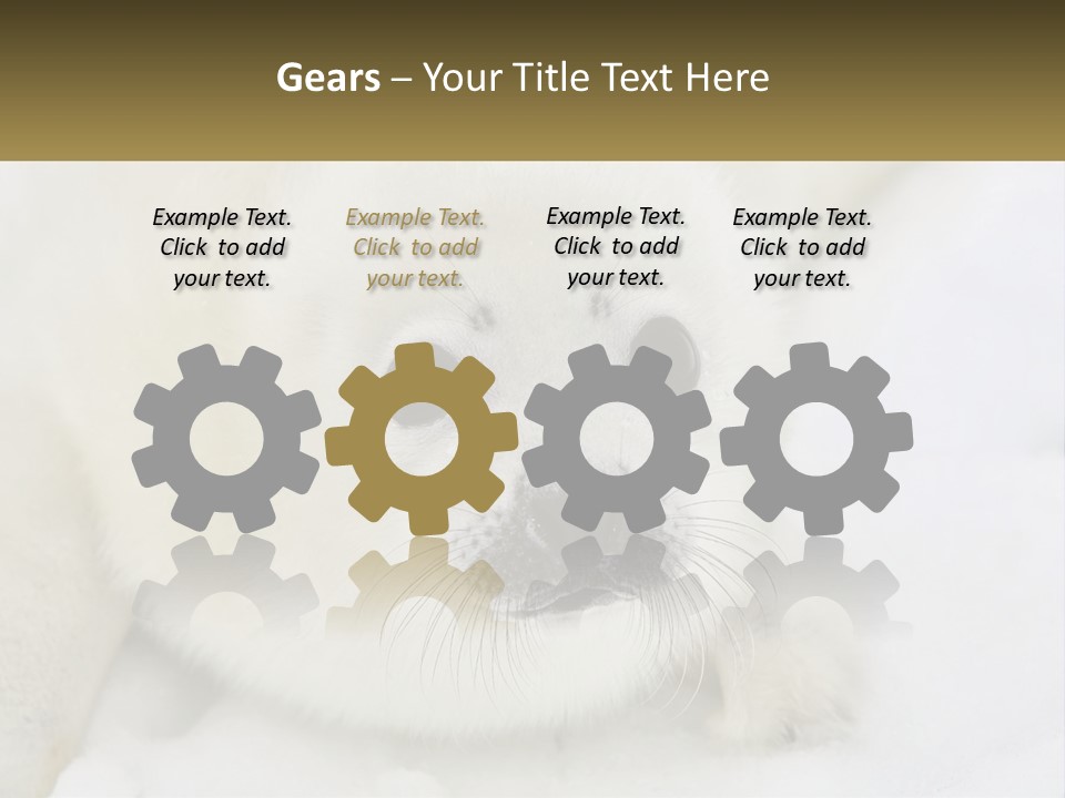 Black Ocean Baby PowerPoint Template