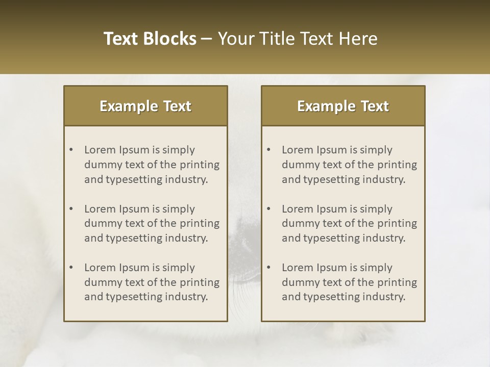 Black Ocean Baby PowerPoint Template