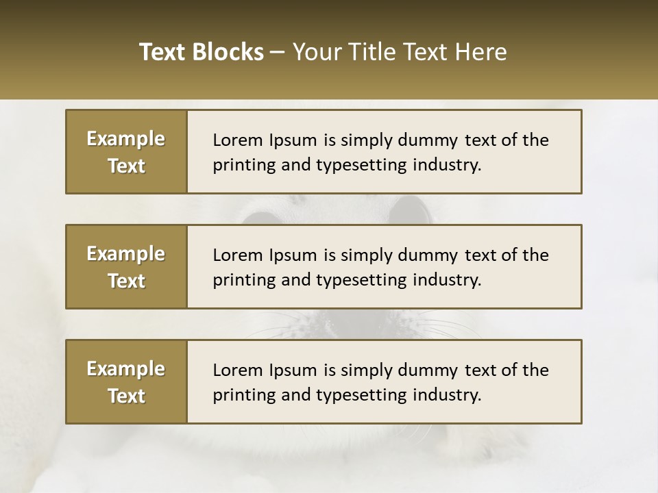 Black Ocean Baby PowerPoint Template